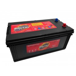 ΜΠΑΤΑΡΙΑ BRUTAL P 73011  | 230AH / VOLT:12 / EN:1300 / ΠΟΛΙΚΟΤΗΤΑ: ΑΡΙΣΤΕΡΑ ΤΟ + ΜΠΑΤΑΡΙΑ BRUTAL P 73011  | 230AH / VOLT:12 / EN:1300 / ΠΟΛΙΚΟΤΗΤΑ: ΑΡΙΣΤΕΡΑ ΤΟ +